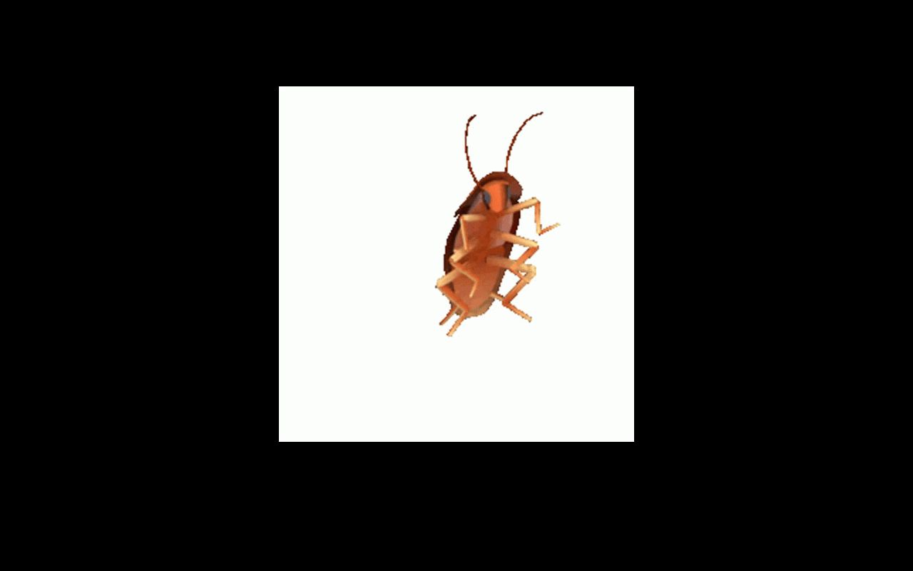 Carrd profile picture for @cockroach